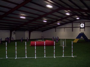 Cumming Steel Dog Training Arena